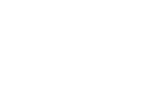 Nemo