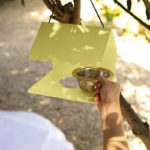 Angers Nantes Cholet Saumur Icones Fermob Mangeoir objet accessoire oiseaux Outdoor mobilier exterieur Picoti Citron Givré 4