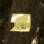 Angers Nantes Cholet Saumur Icones Fermob Mangeoir objet accessoire oiseaux Outdoor mobilier exterieur Picoti Citron Givré 5