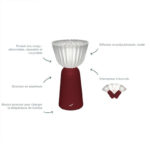 Angers Nantes Cholet Saumur Icones Fermob lampe batterie Swiing outdoor Cerise Tristan Lohner 0