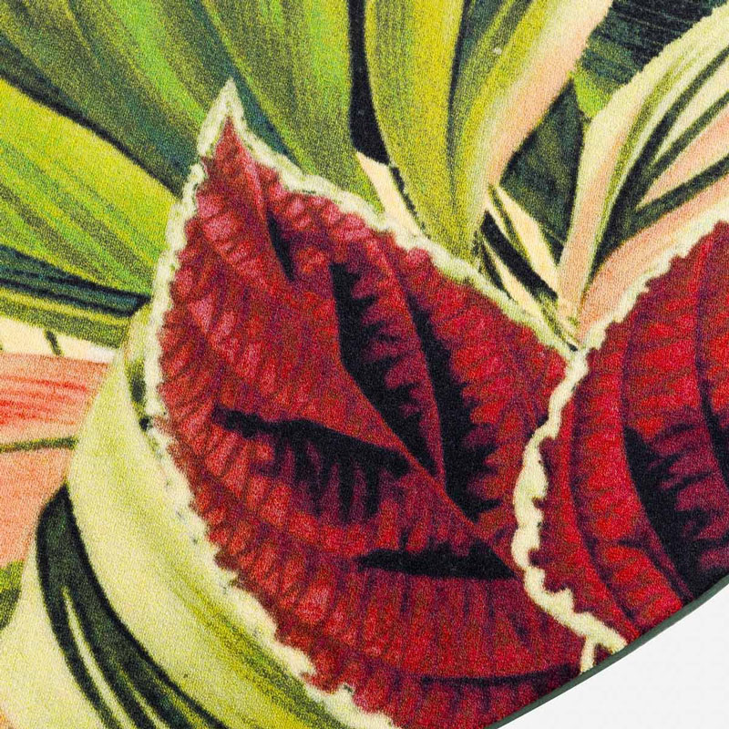 Angers Nantes Cholet Saumur Icones Moooï Tapis Herbarium of Extinct Plants Square Marcel Wanders Carpet Vegetal 4