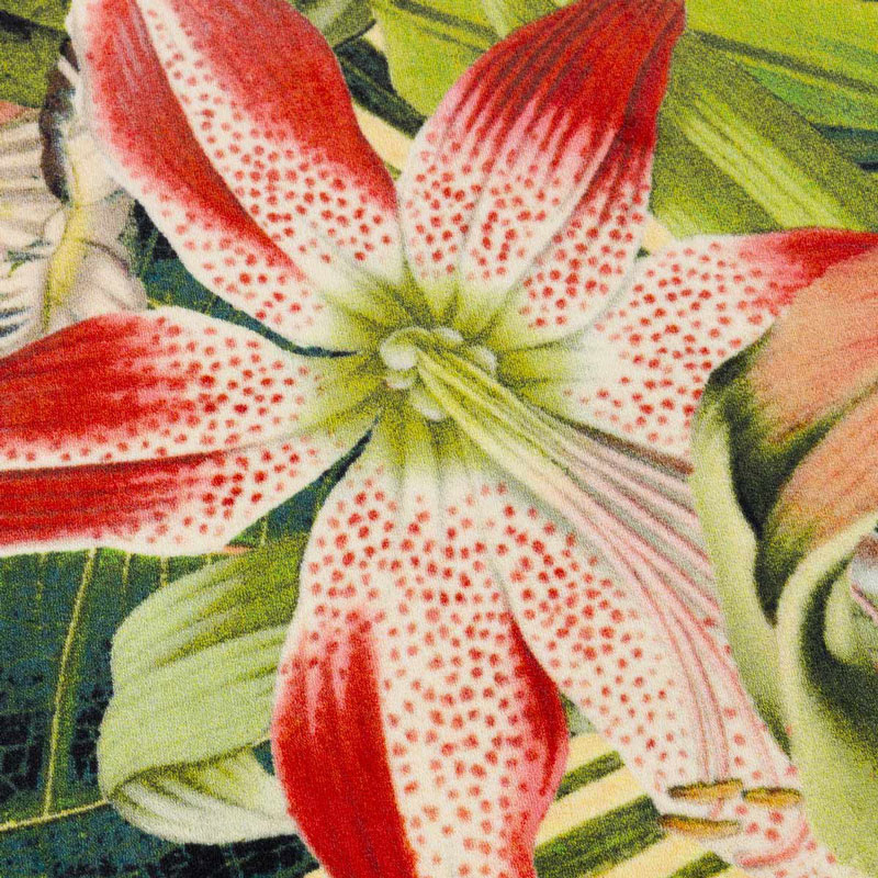 Angers Nantes Cholet Saumur Icones Moooï Tapis Herbarium of Extinct Plants Square Marcel Wanders Carpet Vegetal 5