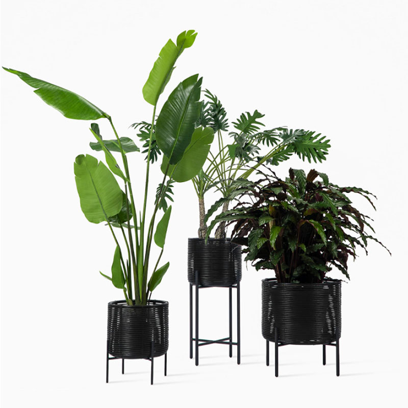 Angers Nantes Cholet Saumur Icones Pot plantes Vincent Sheppard Ivo mobilier exterieur outdoor Rotin Noir 2