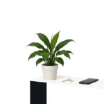 Angers Nantes Cholet Saumur Paris Bordeaux le mans Icones Console Glas Italia Sio2 Bridge Verre Trempé Noir Blanc Piero Lissoni 02